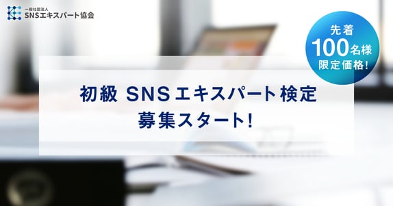 sns_seminar1.png